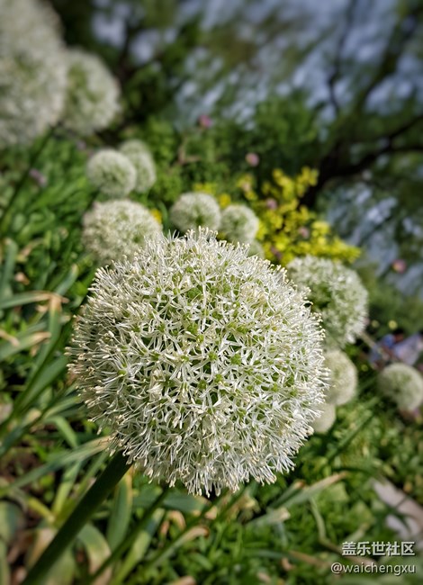 亞太版S8+ SM-G955FD上手一周簡單感受（下）