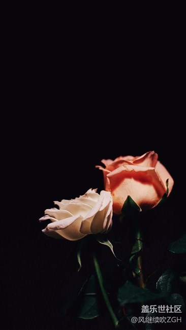 發(fā)點(diǎn)壁紙  賺點(diǎn)星幣