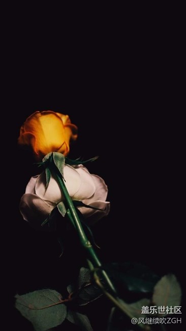 發(fā)點(diǎn)壁紙  賺點(diǎn)星幣