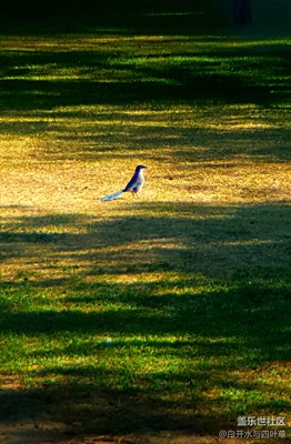 《初夏風(fēng)情畫》+北京+綠色風(fēng)情
