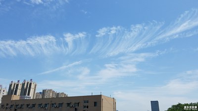 《初夏風(fēng)情畫》+ 成都 +白云