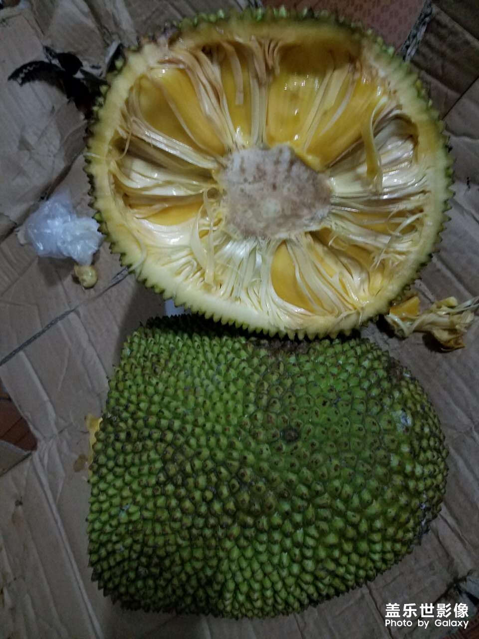 菠蘿菠蘿蜜