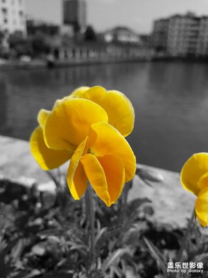 處理過口后 很有逼格有沒有