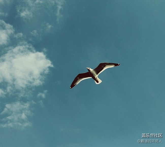 好看的壁紙又來了