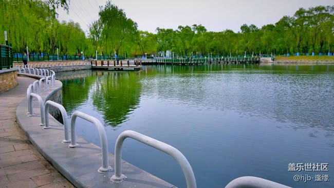 黛秀湖中的游泳健將