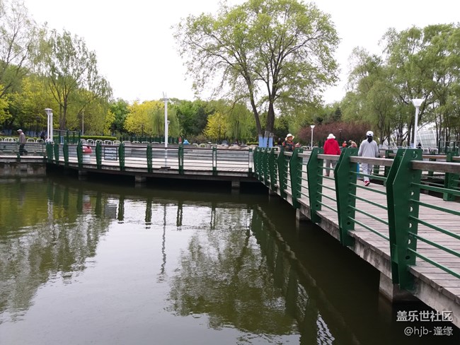 黛秀湖中的游泳健將