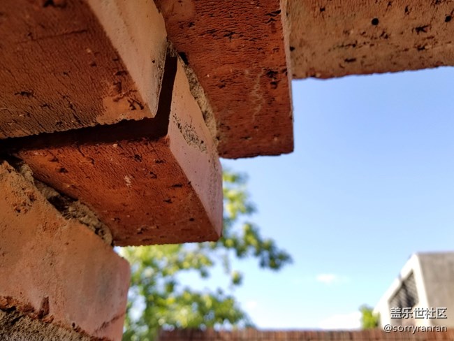 拍照機(jī)皇的驚鴻一瞥 三星Galaxy S8+樣張賞析