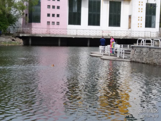 黛秀湖中的游泳健將