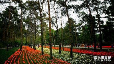 以人民的名義-------贊！