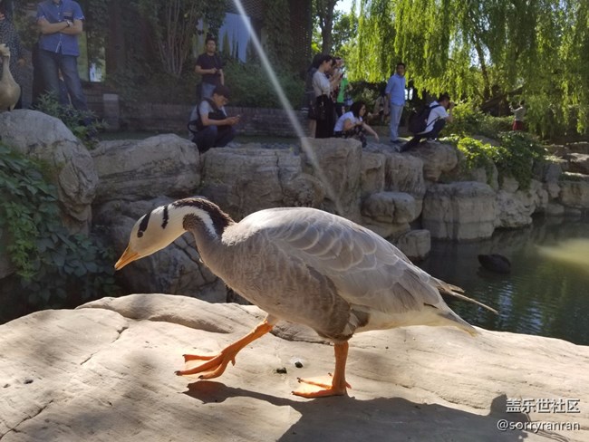 拍照機(jī)皇的驚鴻一瞥 三星Galaxy S8+樣張賞析