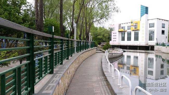 黛秀湖中的游泳健將