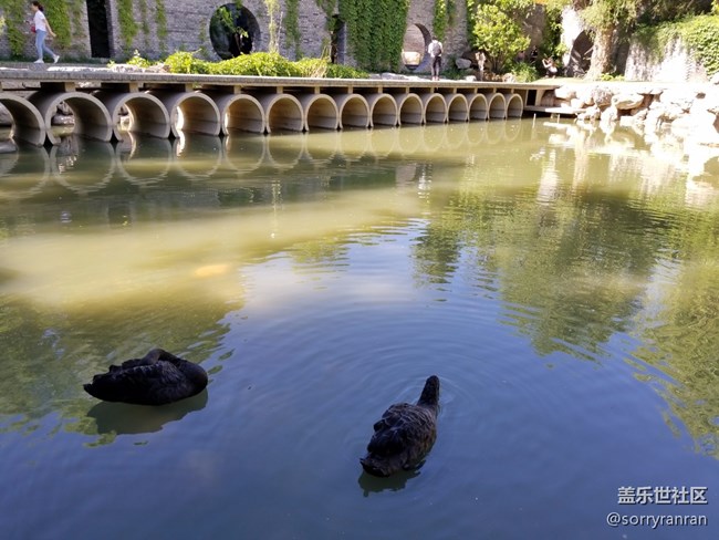 拍照機(jī)皇的驚鴻一瞥 三星Galaxy S8+樣張賞析