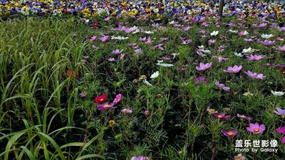 讓我一次拍個(gè)夠！