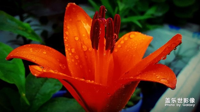 每周精帖匯【第55期：S8終于發(fā)布！你預(yù)約了嗎？】