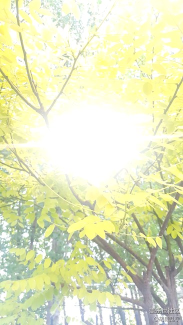 note5拍照瞎設置模式