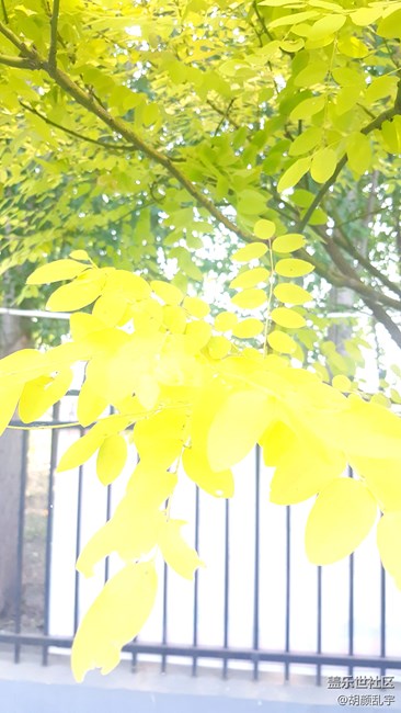 note5拍照瞎設置模式