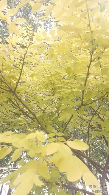 note5拍照瞎設置模式