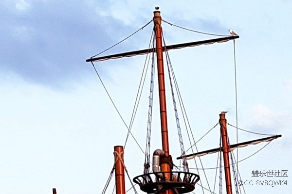 當(dāng)S8遇上單反 會(huì)是怎樣的結(jié)局