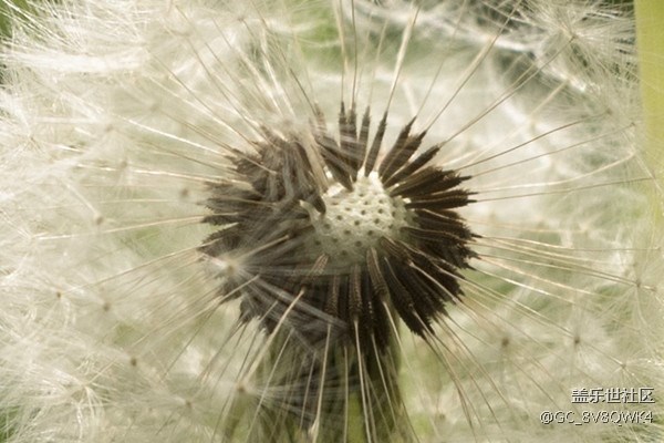 當(dāng)S8遇上單反 會(huì)是怎樣的結(jié)局