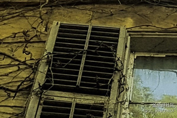 當(dāng)S8遇上單反 會(huì)是怎樣的結(jié)局