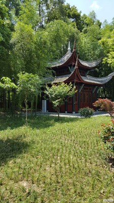 牛5隨拍，感覺效果不錯(cuò)。