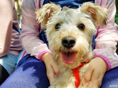 {三星蓋樂世 S7}清涼一夏