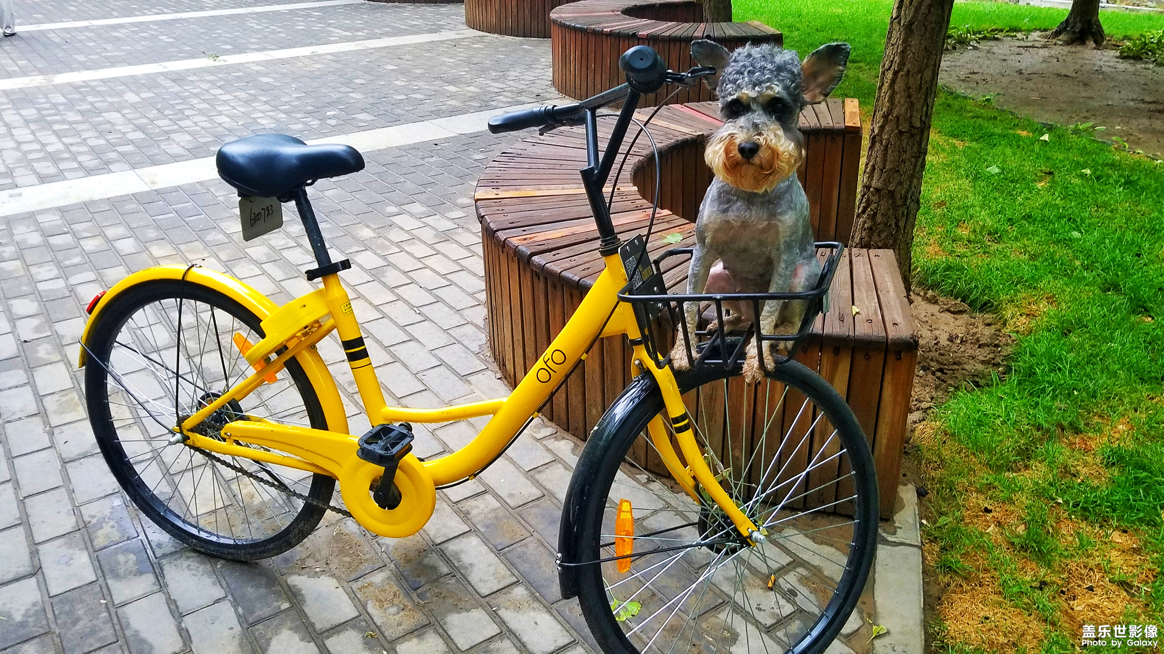 【三星蓋樂(lè)世 S7】又見(jiàn)啦啦