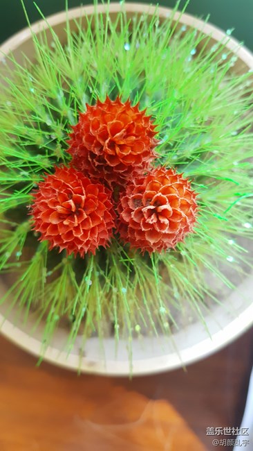 note5相機??飲食模式