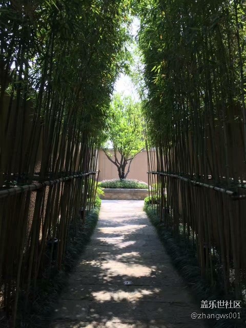 親愛的朋友們  早上好