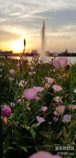 18.5：9自拍壁紙