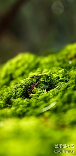 剛剛修改好尺寸的壁紙 分享給大家