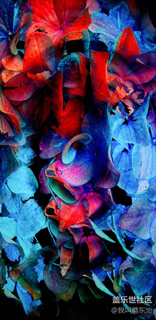 剛剛修改好尺寸的壁紙 分享給大家