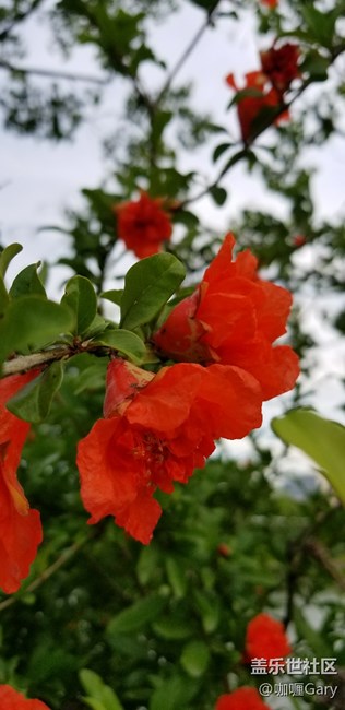 18.5：9自拍壁紙