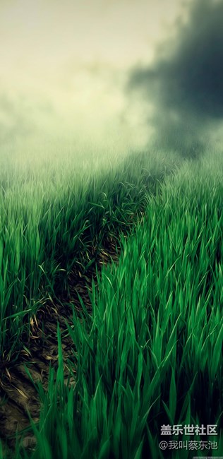 剛剛修改好尺寸的壁紙 分享給大家