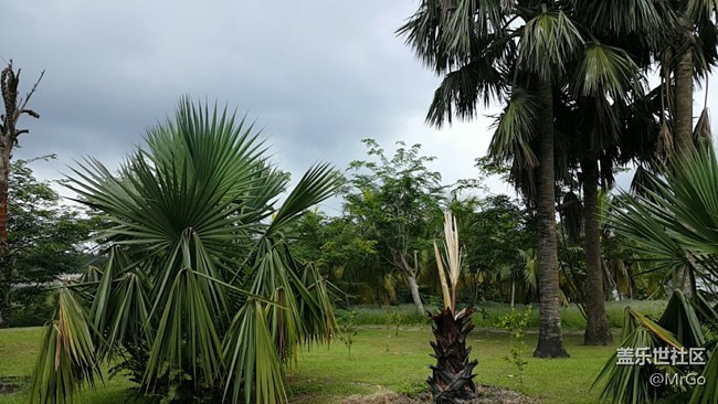 好吧，就這樣吧，晚安晚安