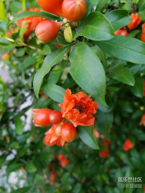 s8+拍的幾張照片，看起來還不錯