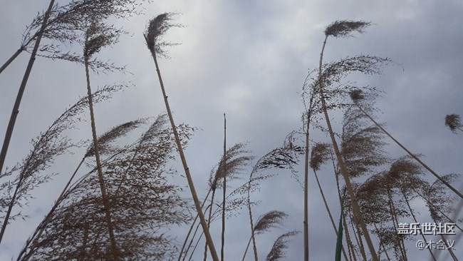 。。。。。。。。。。