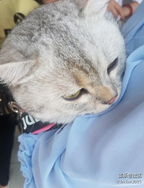 【端午自駕游】大洋山之旅，跟著漫哥爬山看海吃海鮮！