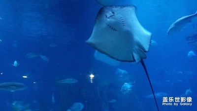 杭州極地海洋公園