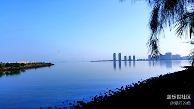 我的生活，我的藍(lán)