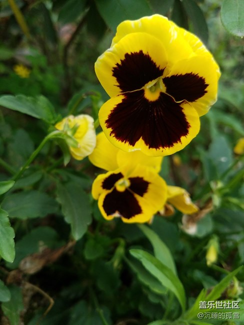 六一兒童節(jié)快樂，各位同學(xué)節(jié)日快樂