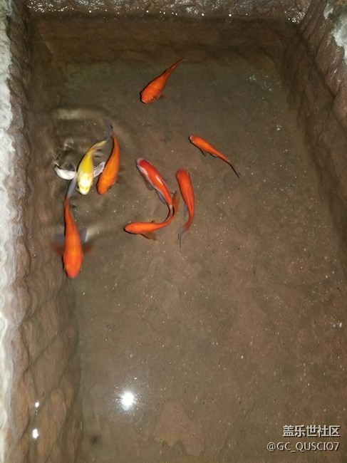 小8入手十天了，贈品今天也已經(jīng)領(lǐng)到了