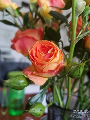 今天買的花到了，很漂亮