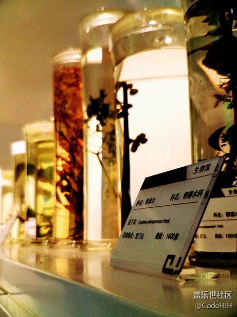 那些用S7 edge記錄下的美景（安卓7.0）