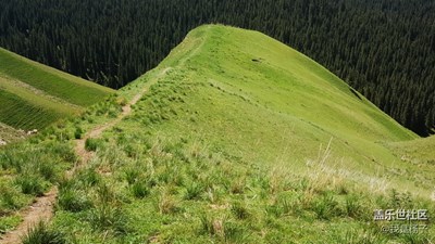 大美新疆之索爾巴斯陶美景