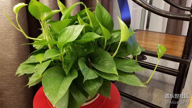 國行版三星S8用了一周，這幾件事我一定要告訴你