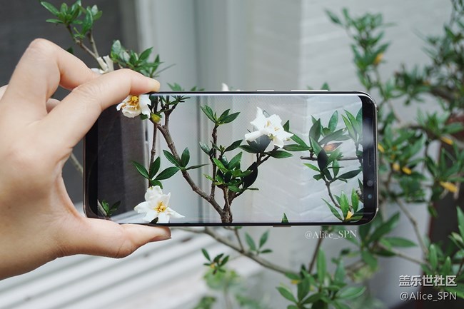 國行版三星S8用了一周，這幾件事我一定要告訴你