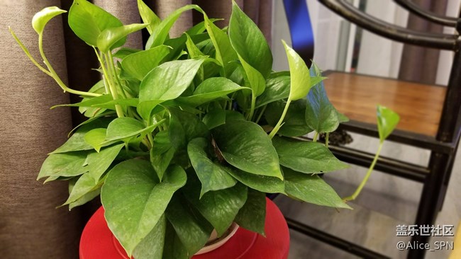 國行版三星S8用了一周，這幾件事我一定要告訴你