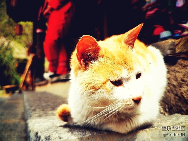 那些用S7 edge記錄下的美景（安卓7.0）