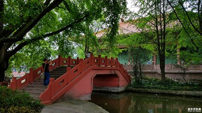 《清涼一夏》+四川郫都區(qū)+清涼好去處